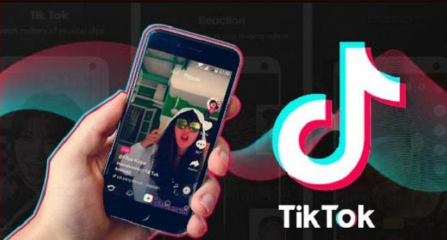 Download TikTok Videos Without Watermark Online